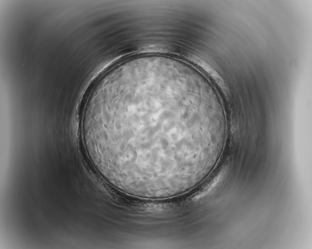 X0000095120933200712211307