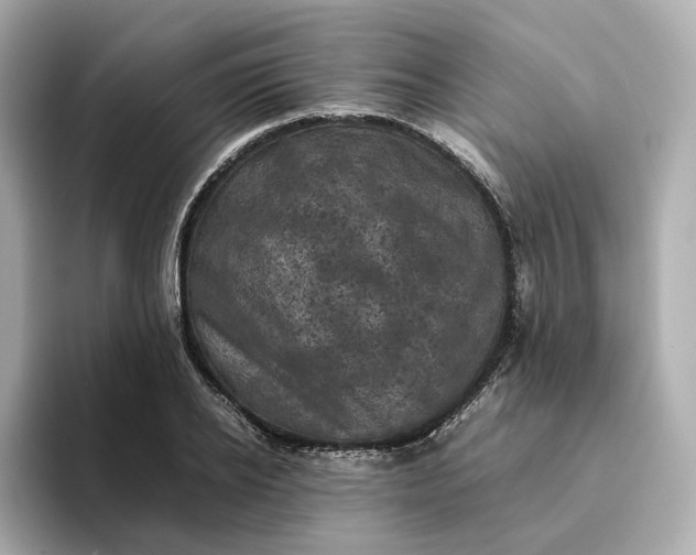 X0000095120934200712211307