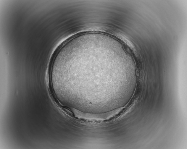 X0000095120936200712211307