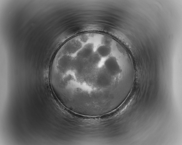 X0000095120937200712211307