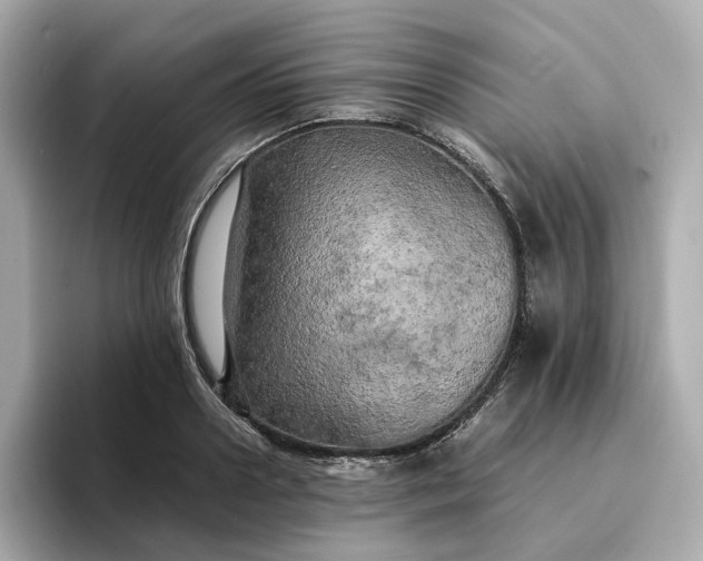 X0000095120938200712211307