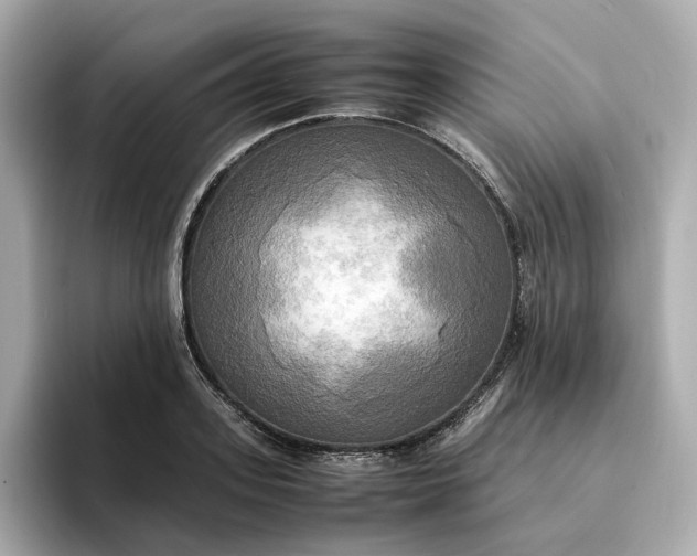 X0000095120939200712211307