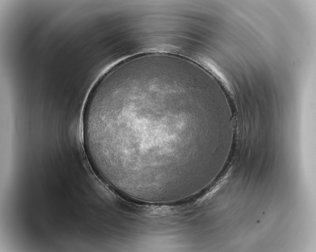 X0000095120940200712211307