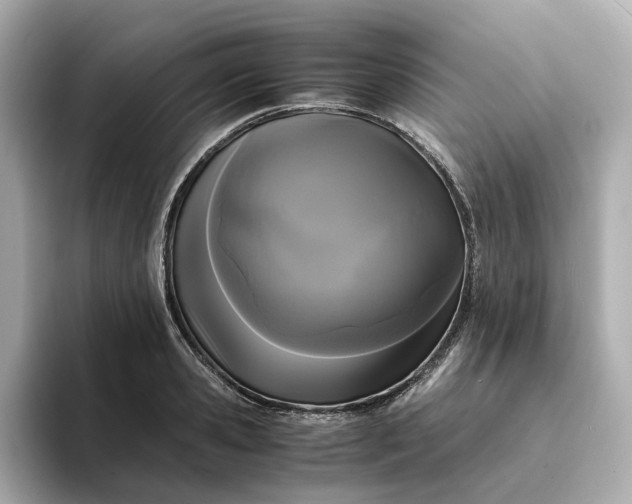 X0000095120941200712211307