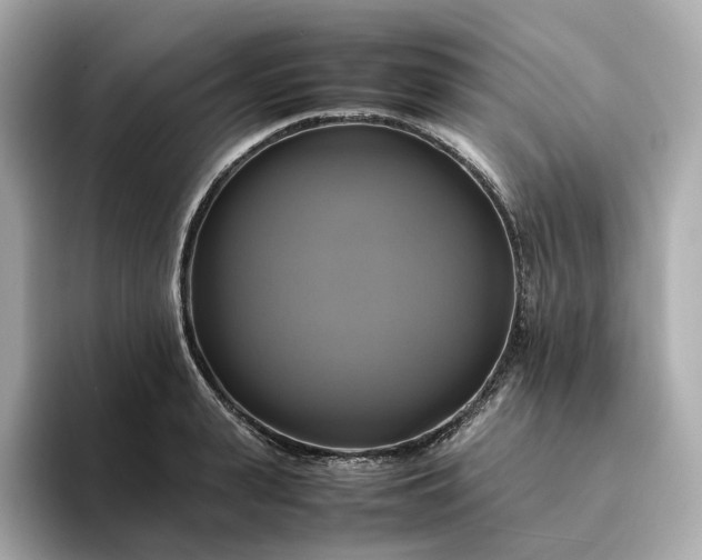 X0000095120943200712211307