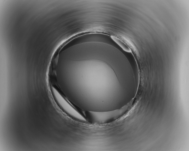 X0000095120944200712211307