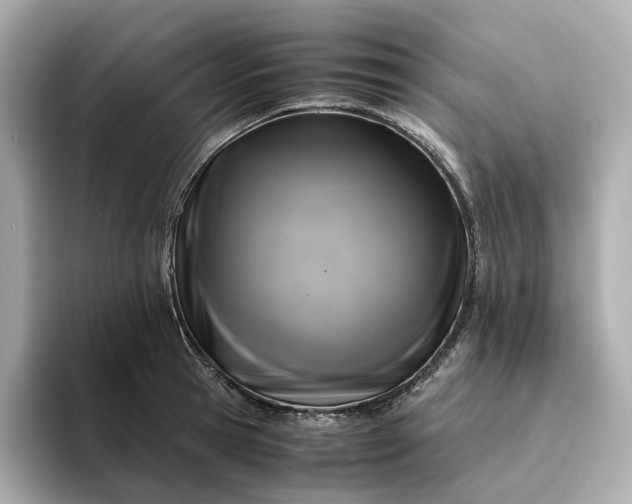 X0000095120945200712211307