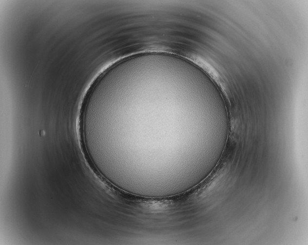 X0000095120947200712211307