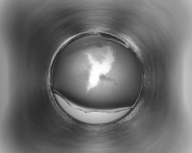 X0000095120948200712211307