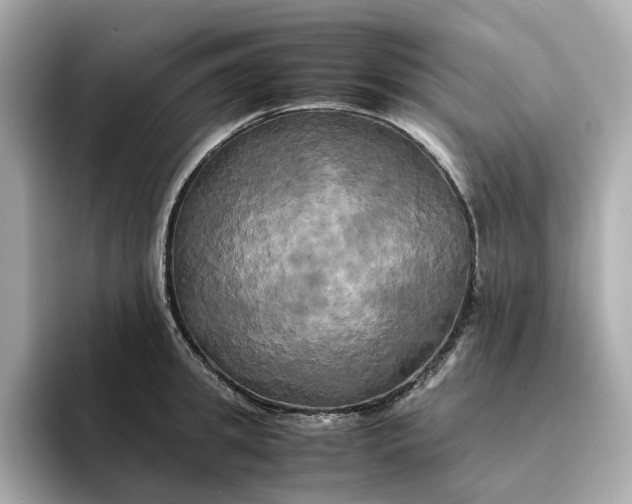 X0000095120949200712211307