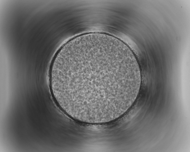 X0000095120950200712211307