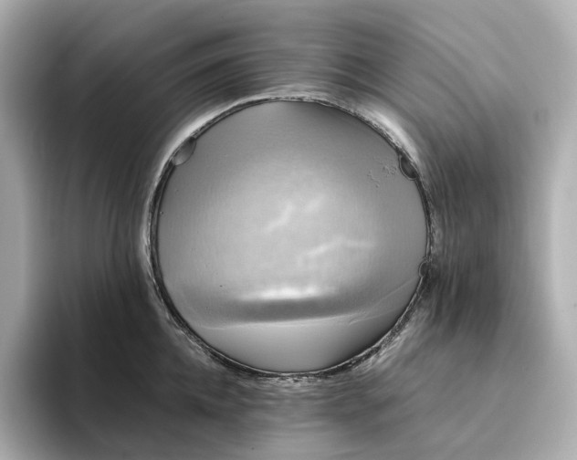 X0000095120952200712211307