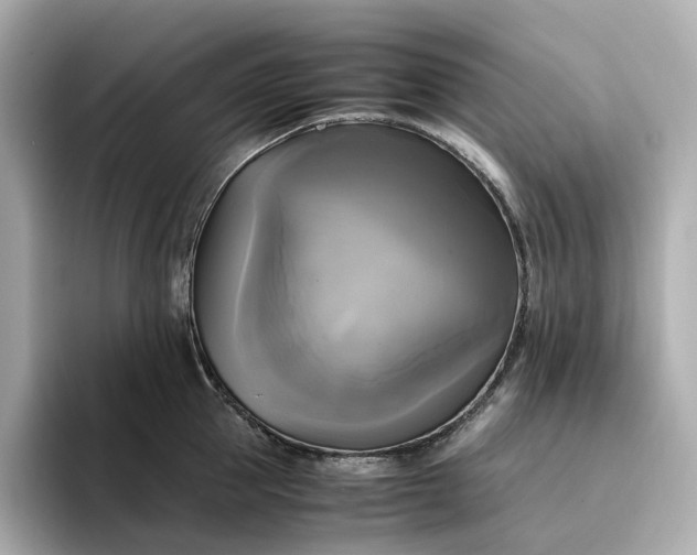 X0000095120953200712211307