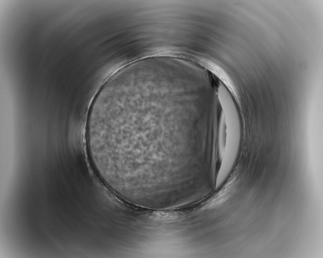 X0000095120954200712211307