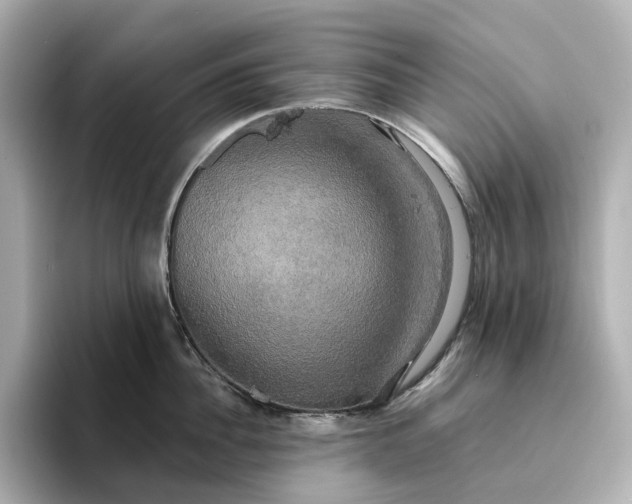 X0000095120956200712211307