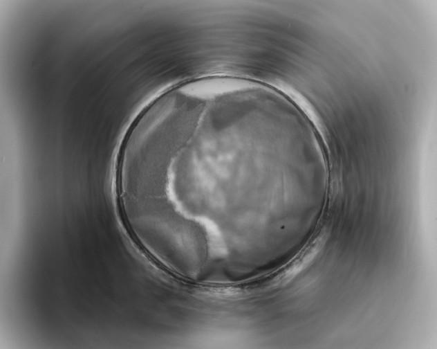 X0000095120957200712211307