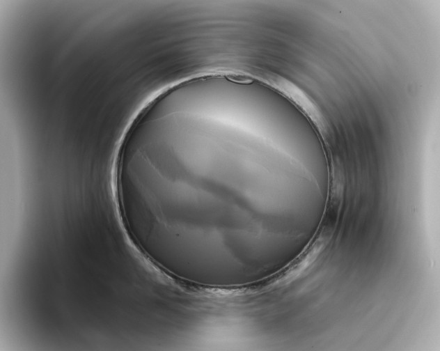 X0000095120958200712211307