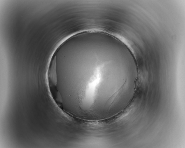 X0000095120959200712211307