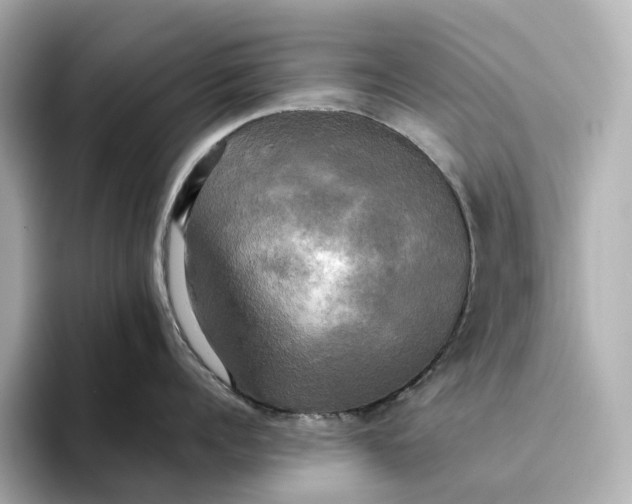 X0000095120960200712211307