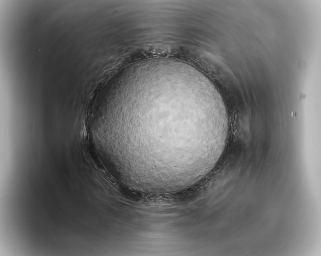 X0000095120962200712211306