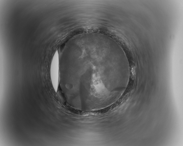 X0000095120963200712211306