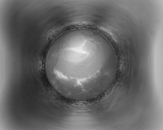 X0000095120966200712211306