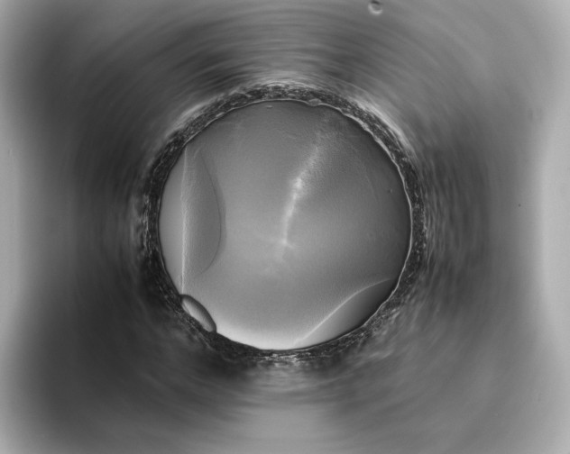 X0000095120968200712211306