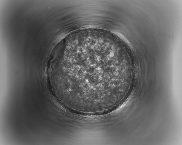 X0000095120969200712211306