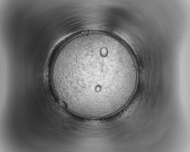 X0000095120971200712211306