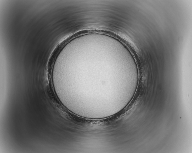 X0000095120974200712211306