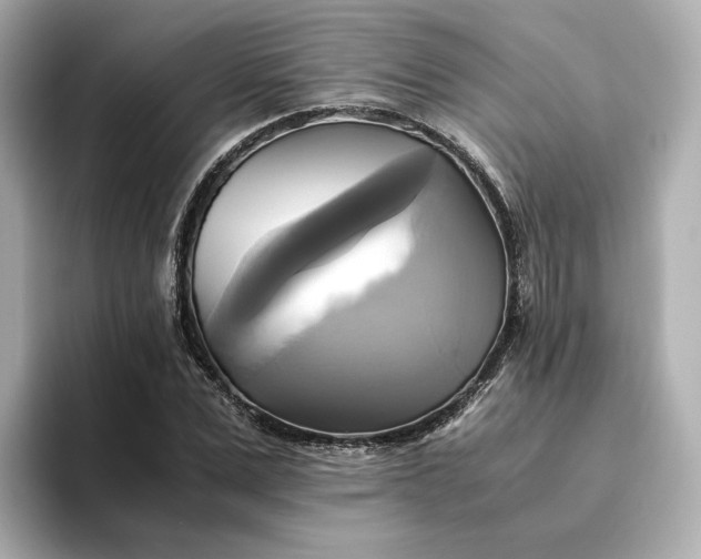 X0000095120975200712211306