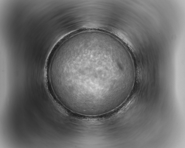 X0000095120976200712211306