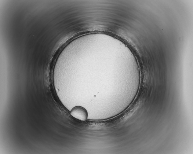 X0000095120978200712211306