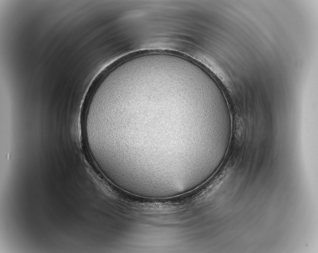 X0000095120980200712211306