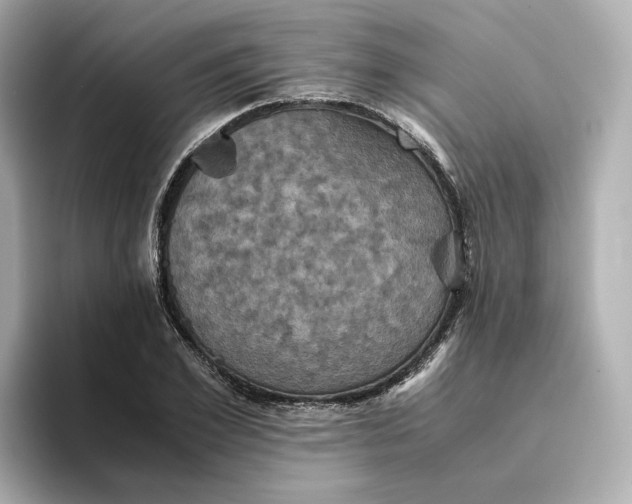 X0000095120981200712211306