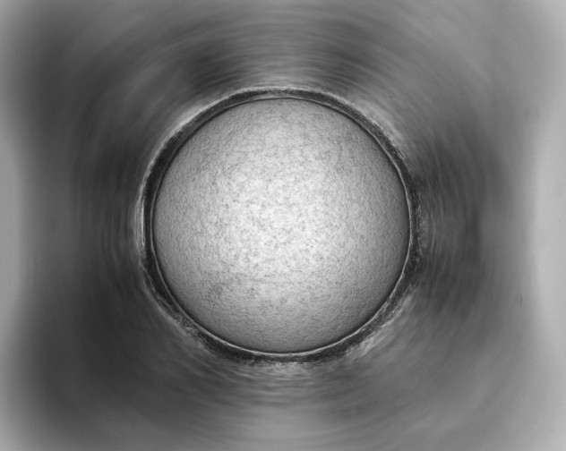 X0000095120982200712211306