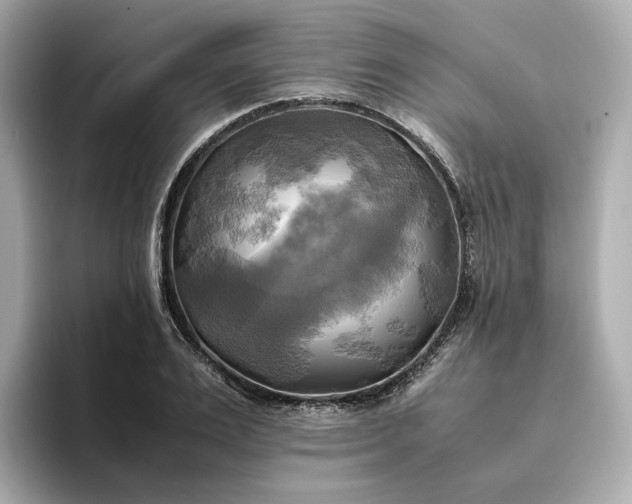 X0000095120983200712211306