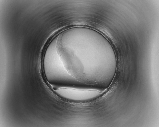 X0000095120984200712211306