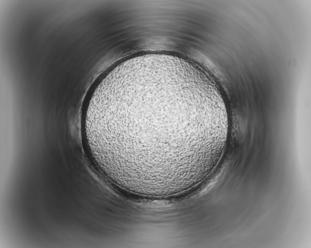 X0000095120986200712211306