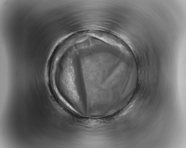 X0000095120987200712211306