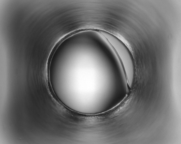 X0000095120988200712211306