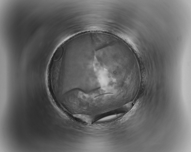 X0000095120991200712211306