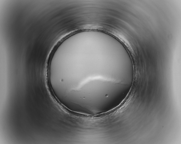 X0000095120992200712211306