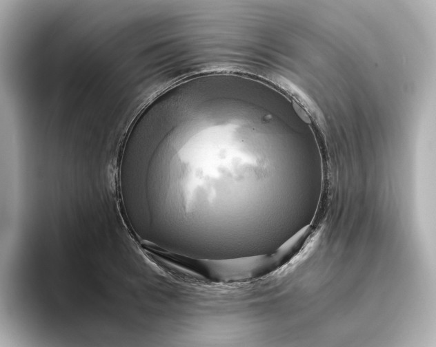 X0000095120993200712211306