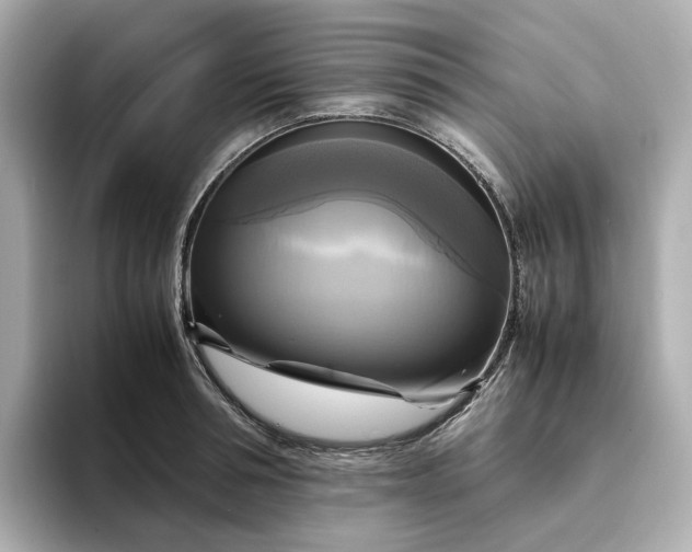 X0000095120994200712211306