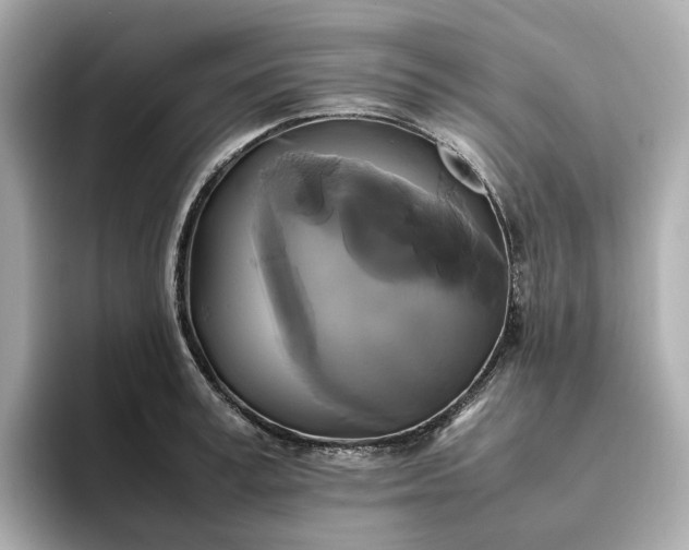 X0000095120995200712211306