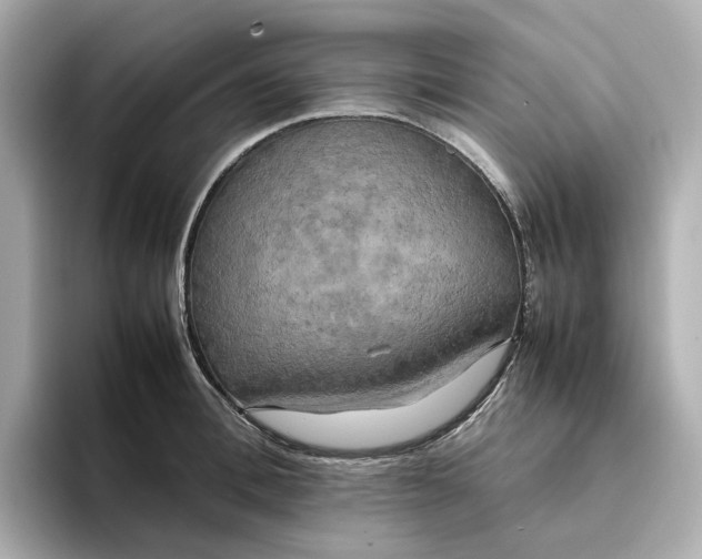 X0000095120996200712211306