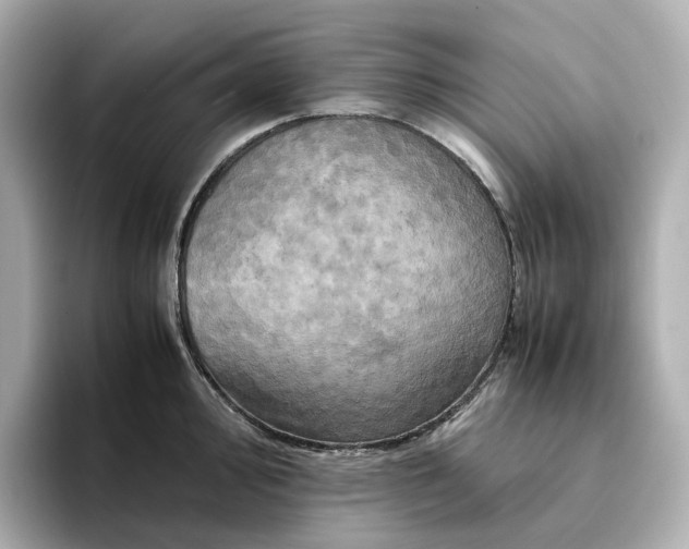 X0000095121000200712211306