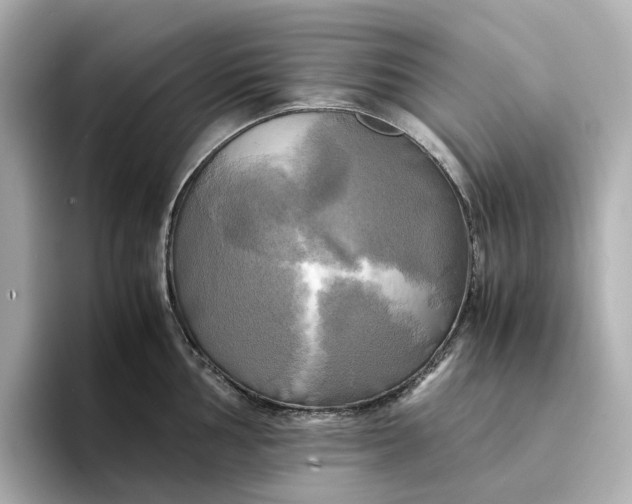 X0000095121002200712211306