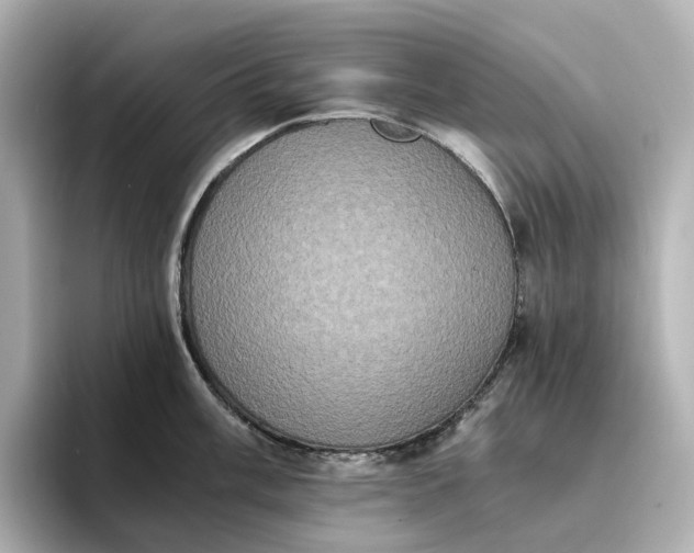 X0000095121003200712211306